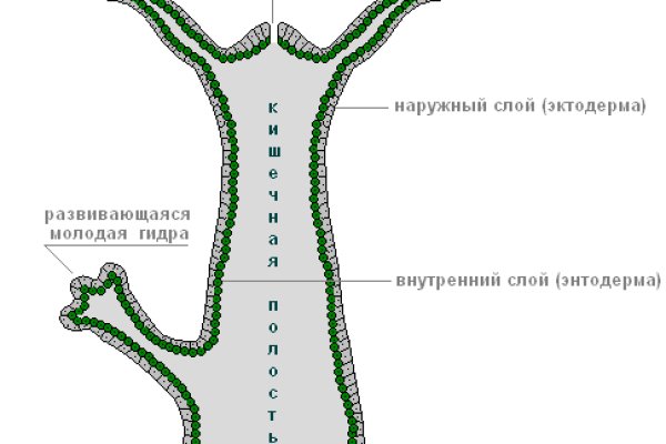 Вывести деньги с омг