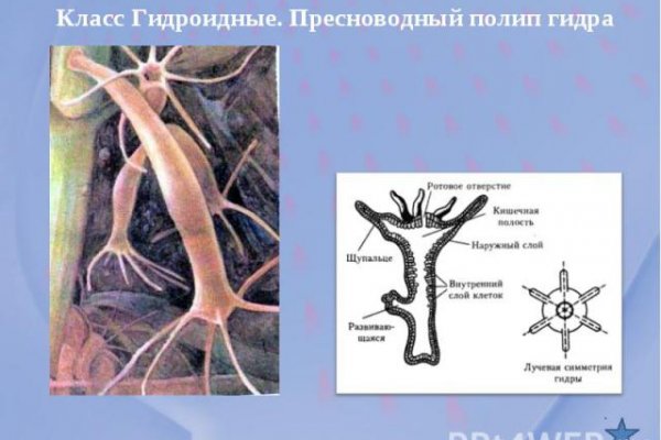 Официальное ссылка омг омг